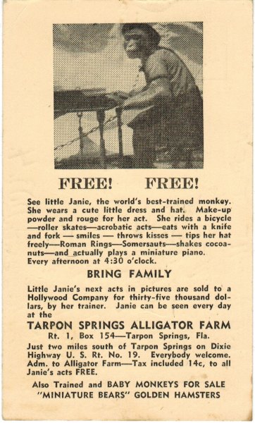 Tarpon Springs Alligator Farm
